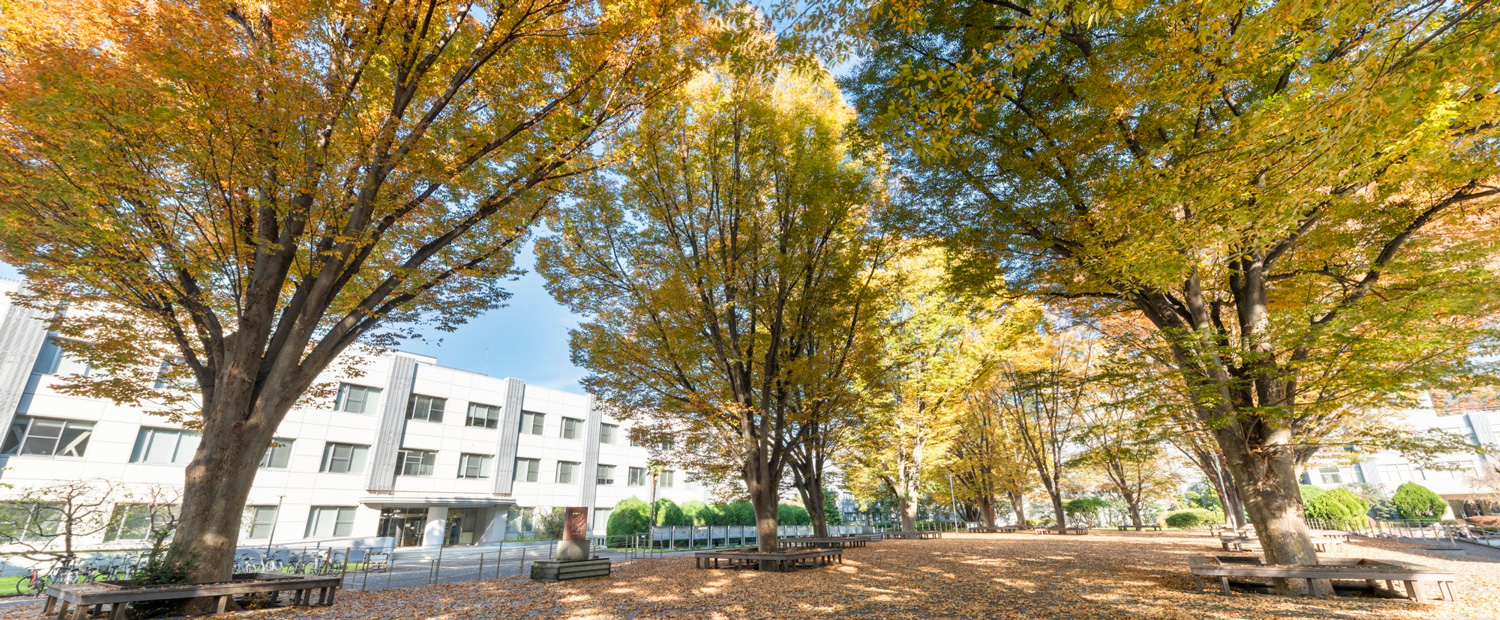 卒業生 修了生の皆さまへ 東京学芸大学 学生キャリア支援室